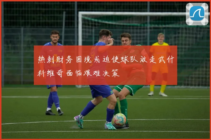 热刺财务困境或迫使球队放走武什科维奇面临艰难决策